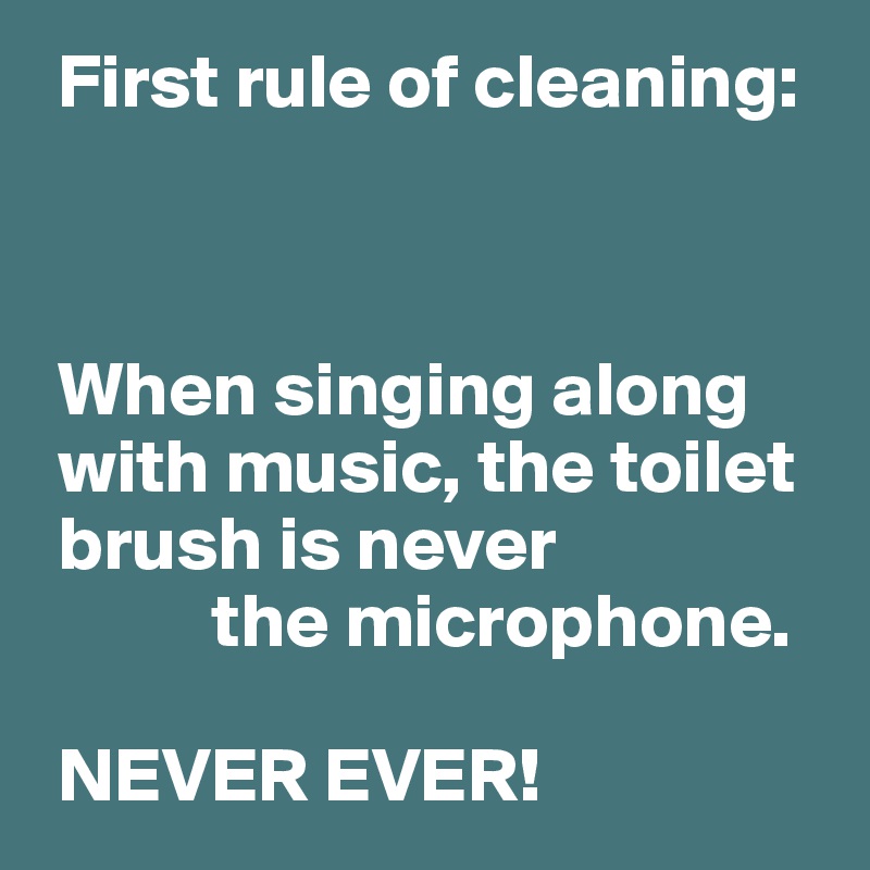  First rule of cleaning:



 When singing along 
 with music, the toilet
 brush is never
           the microphone.

 NEVER EVER!