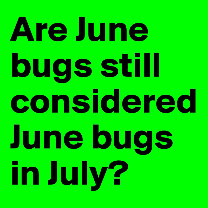 Are June bugs still considered June bugs in July?