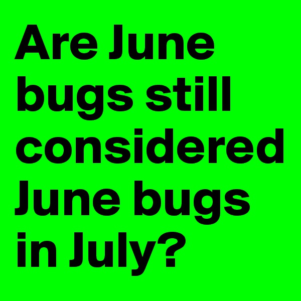 Are June bugs still considered June bugs in July?