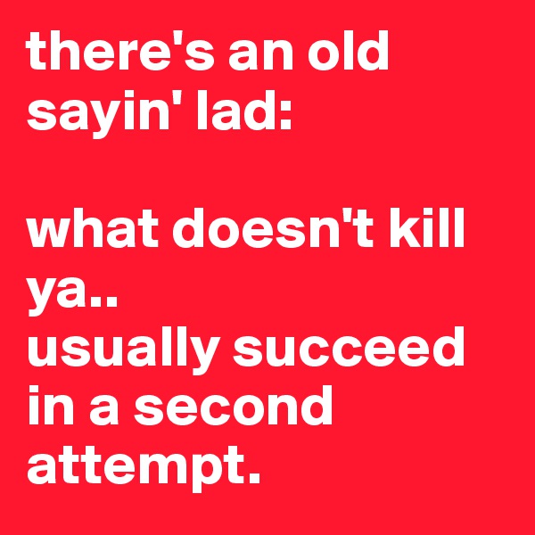 there's an old sayin' lad: 

what doesn't kill ya.. 
usually succeed in a second attempt.