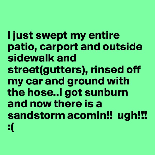 

I just swept my entire patio, carport and outside sidewalk and street(gutters), rinsed off my car and ground with the hose..I got sunburn and now there is a sandstorm acomin!!  ugh!!! :(  
