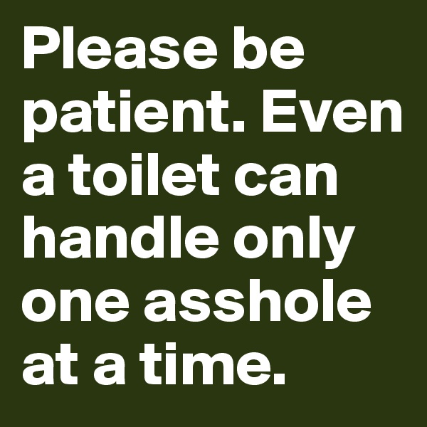 Please be patient. Even a toilet can handle only one asshole at a time.