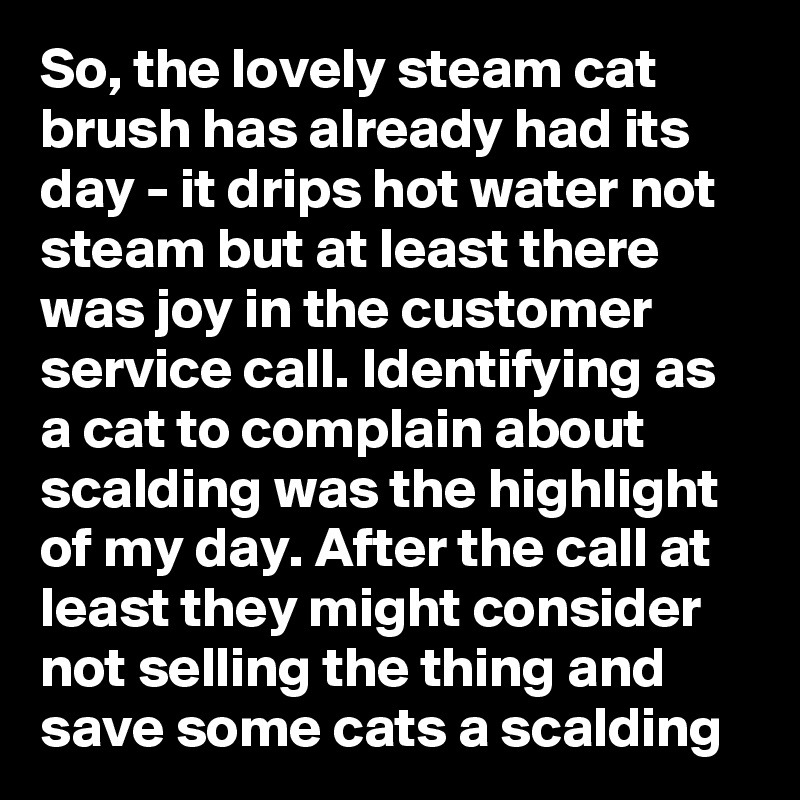 So, the lovely steam cat brush has already had its day - it drips hot water not steam but at least there was joy in the customer service call. Identifying as a cat to complain about scalding was the highlight of my day. After the call at least they might consider not selling the thing and save some cats a scalding  