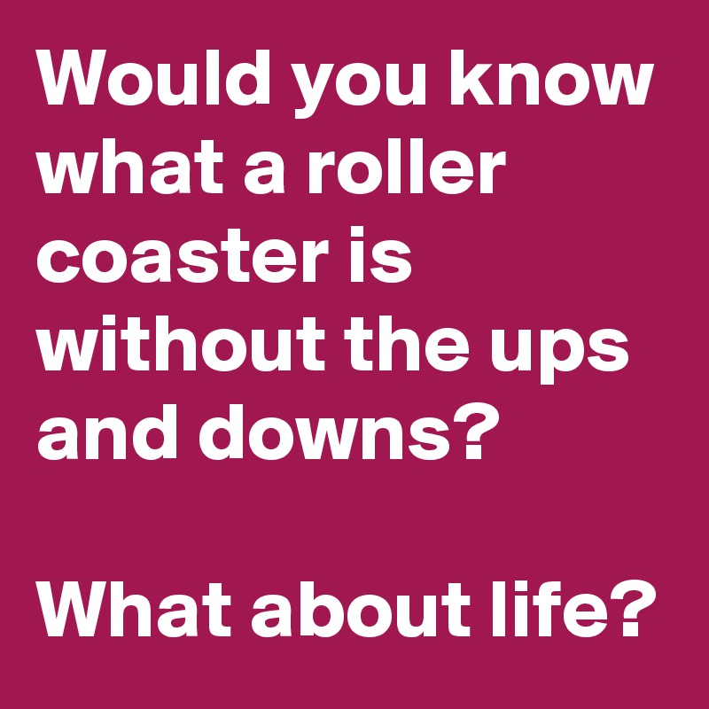 Would you know what a roller coaster is without the ups and downs? 

What about life? 