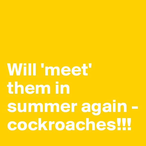 


Will 'meet' them in summer again - cockroaches!!!