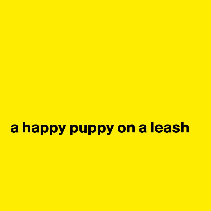 






a happy puppy on a leash



