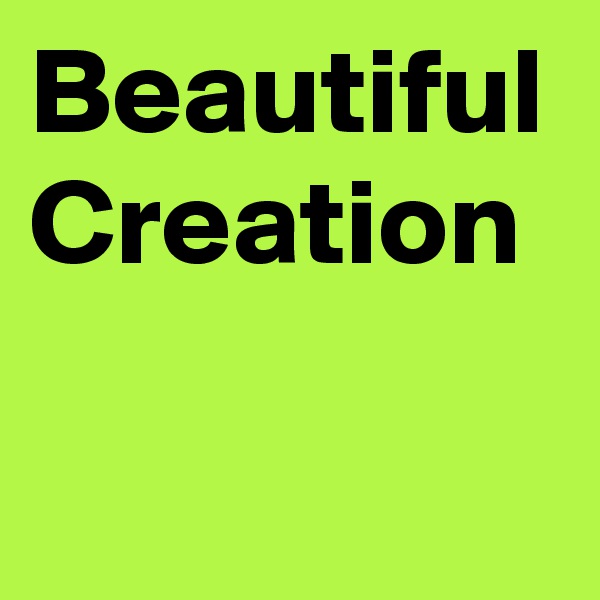 Beautiful Creation