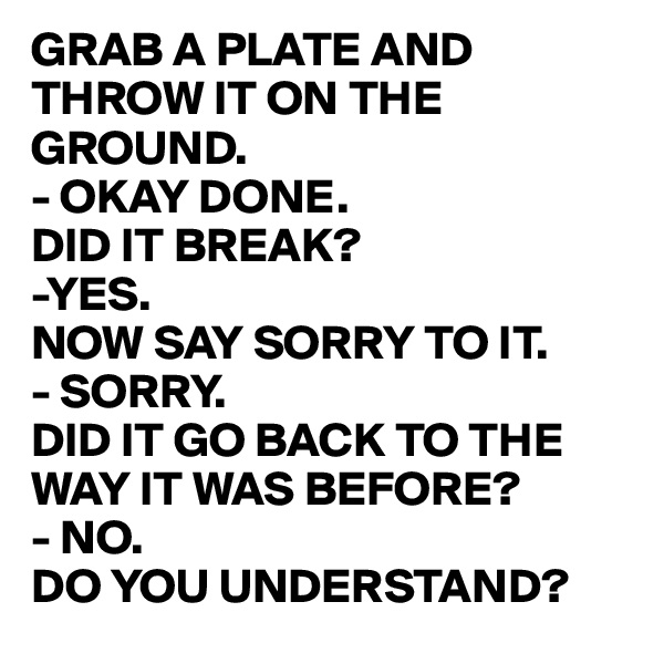 GRAB A PLATE AND THROW IT ON THE GROUND.
- OKAY DONE.
DID IT BREAK?
-YES.
NOW SAY SORRY TO IT.
- SORRY.
DID IT GO BACK TO THE WAY IT WAS BEFORE?
- NO.
DO YOU UNDERSTAND?