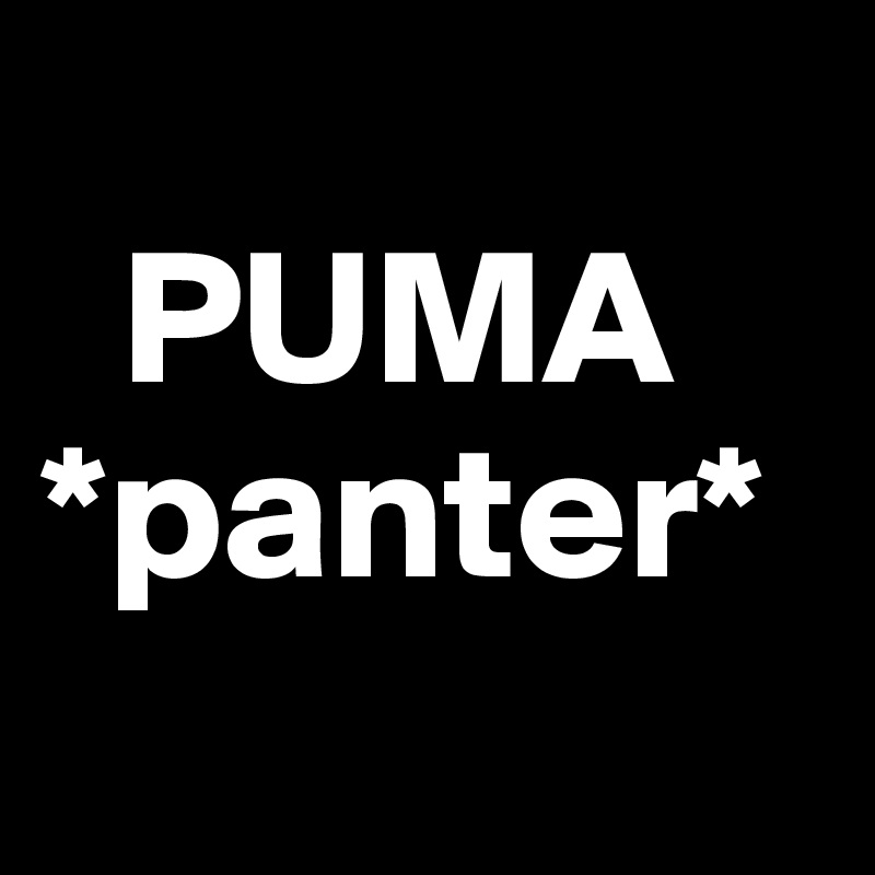  
  PUMA
*panter*

