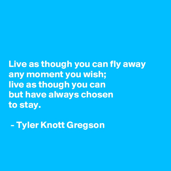 




Live as though you can fly away
any moment you wish;
live as though you can
but have always chosen 
to stay.

 - Tyler Knott Gregson



