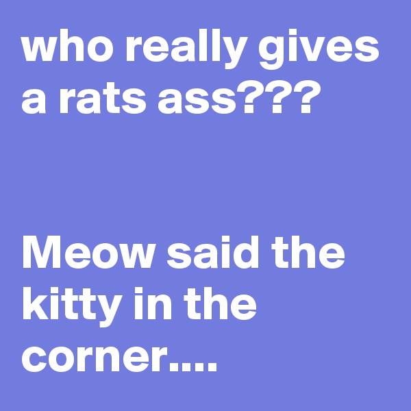 who really gives a rats ass???


Meow said the kitty in the corner....