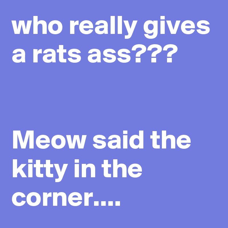 who really gives a rats ass???


Meow said the kitty in the corner....