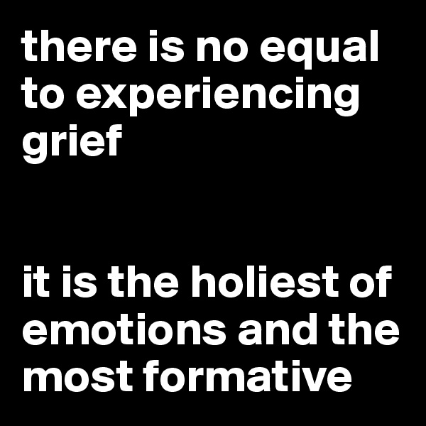 there is no equal to experiencing grief


it is the holiest of emotions and the most formative