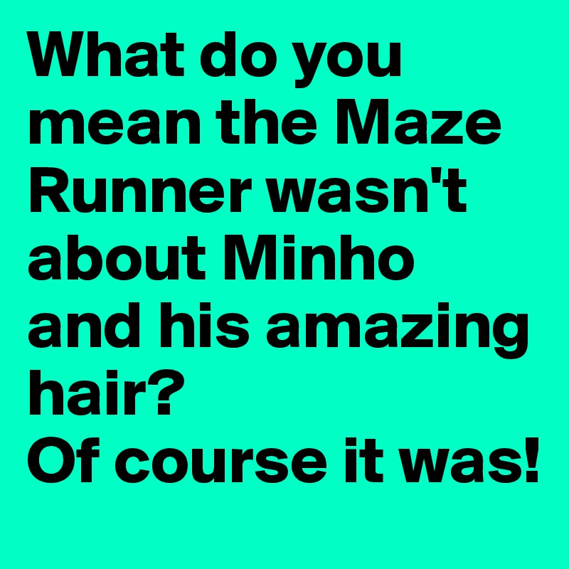 What do you mean the Maze Runner wasn't about Minho and his amazing hair?
Of course it was!
