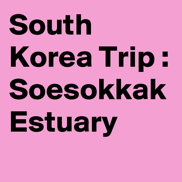 South Korea Trip : Soesokkak Estuary