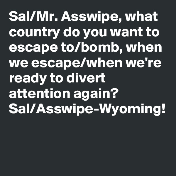 Sal/Mr. Asswipe, what country do you want to escape to/bomb, when we escape/when we're ready to divert attention again?
Sal/Asswipe-Wyoming!
