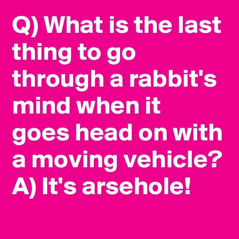 Q) What is the last thing to go through a rabbit's mind when it goes head on with a moving vehicle?
A) It's arsehole!