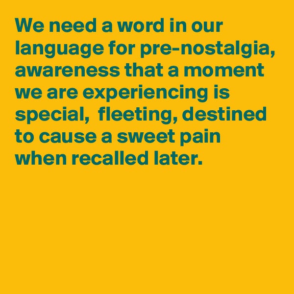 We need a word in our language for pre-nostalgia, awareness that a moment we are experiencing is  special,  fleeting, destined to cause a sweet pain when recalled later.



