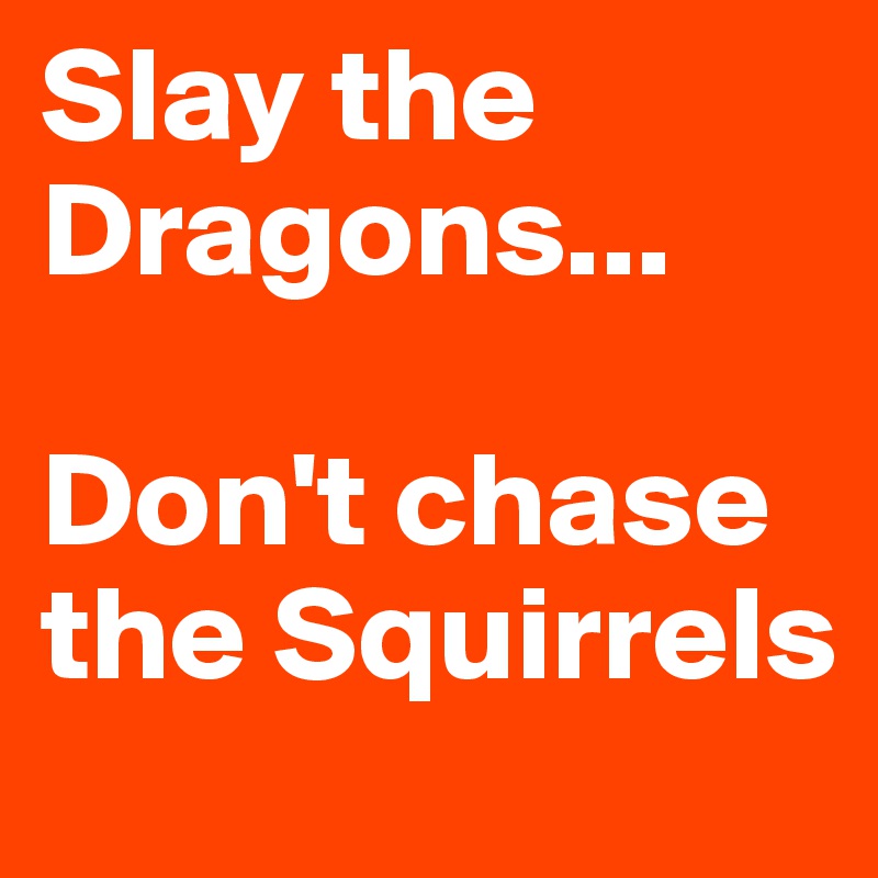 Slay the Dragons... 

Don't chase the Squirrels