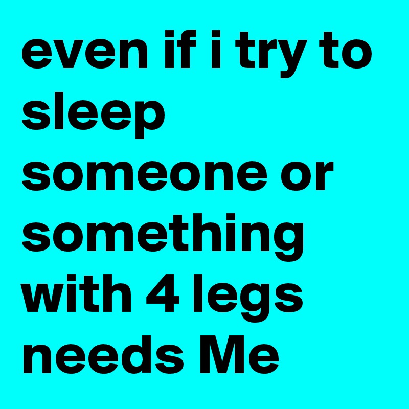 even if i try to sleep someone or something with 4 legs needs Me