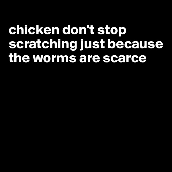 
chicken don't stop scratching just because the worms are scarce





