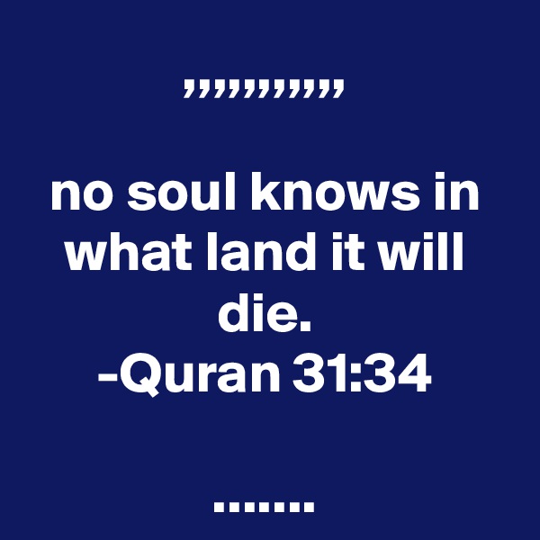 ,,,,,,,,,,,

no soul knows in what land it will die.
-Quran 31:34

.......