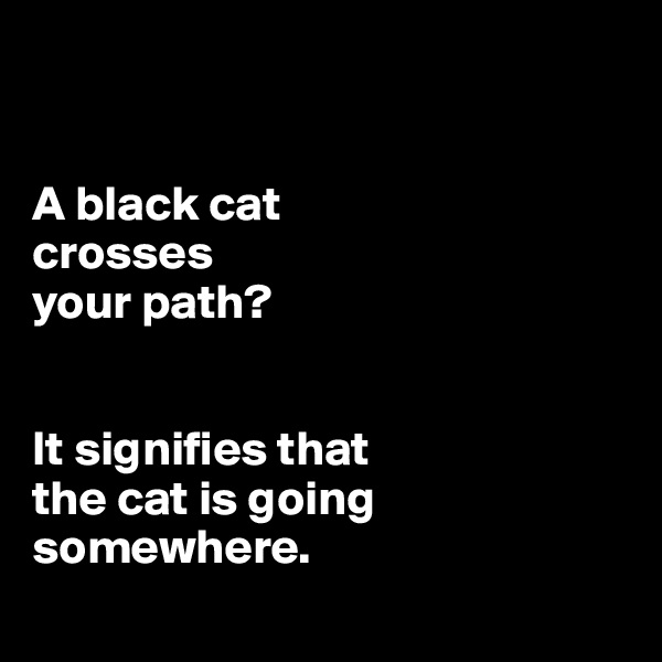 


A black cat 
crosses 
your path?


It signifies that 
the cat is going somewhere.
