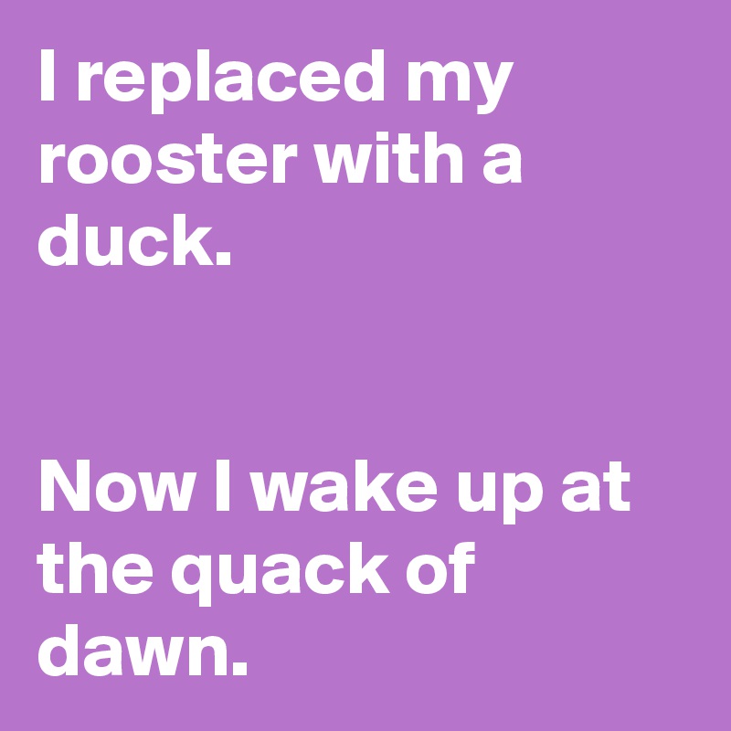 I replaced my rooster with a duck.


Now I wake up at the quack of dawn.