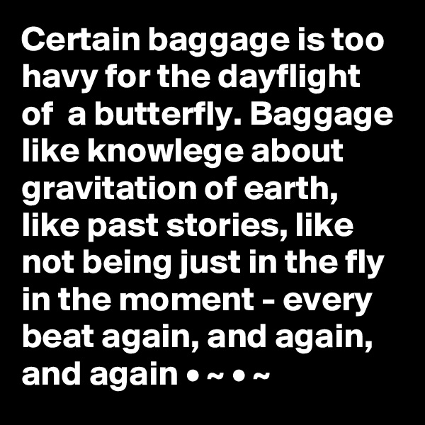 Certain baggage is too havy for the dayflight of  a butterfly. Baggage like knowlege about gravitation of earth, like past stories, like not being just in the fly in the moment - every beat again, and again, and again • ~ • ~ 