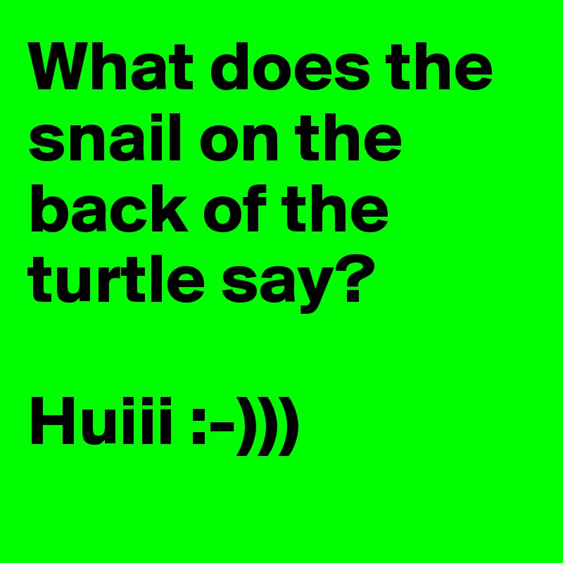 What does the snail on the back of the turtle say? 

Huiii :-)))
