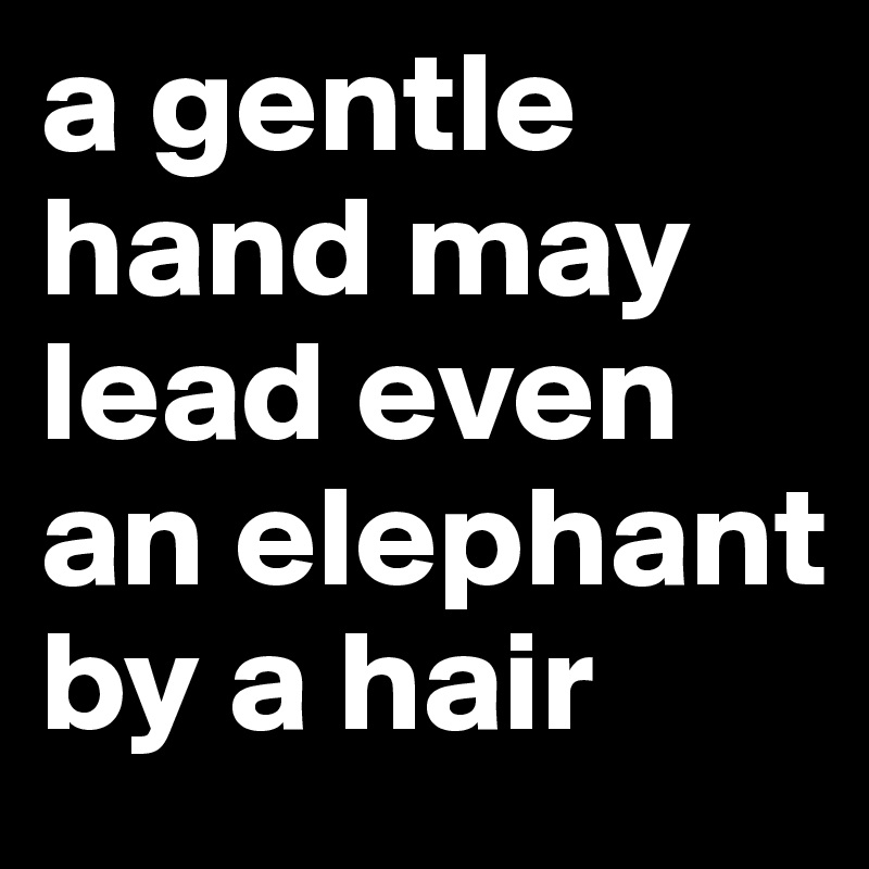 a gentle hand may lead even an elephant by a hair