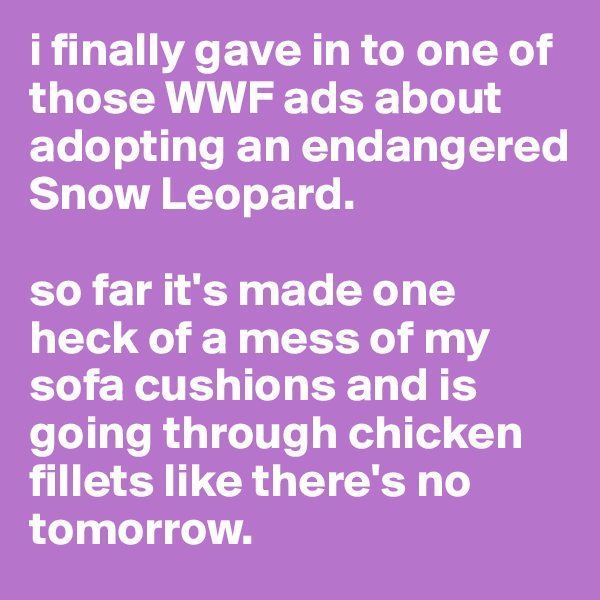 i finally gave in to one of those WWF ads about adopting an endangered Snow Leopard. 

so far it's made one heck of a mess of my sofa cushions and is going through chicken fillets like there's no tomorrow. 