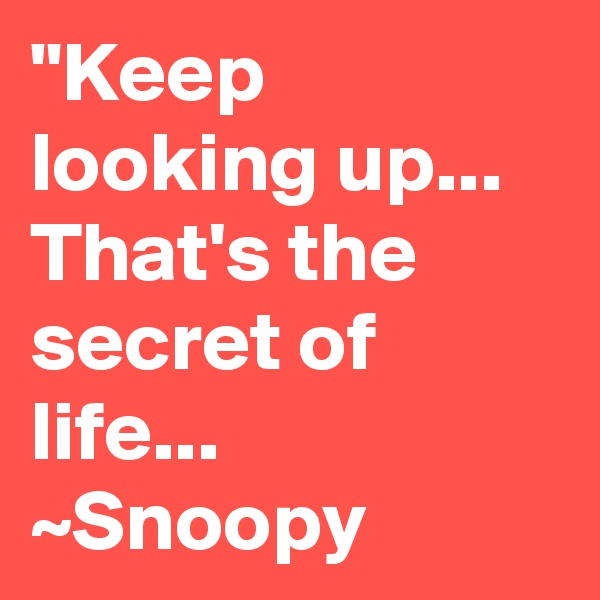 "Keep looking up... That's the secret of life... ~Snoopy 
