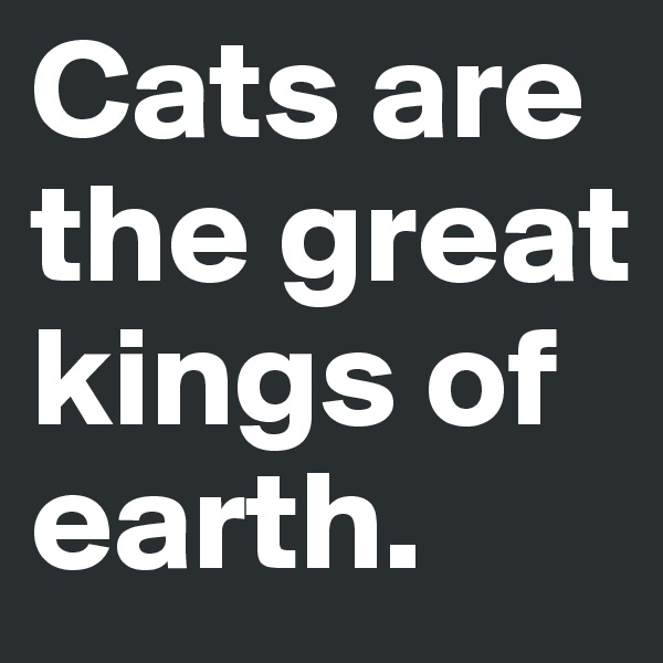 Cats are the great kings of earth.