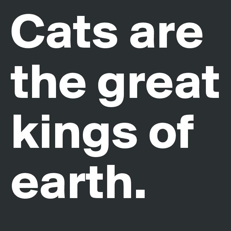 Cats are the great kings of earth.
