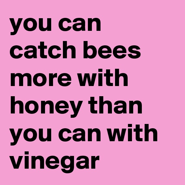 you can catch bees more with honey than you can with vinegar