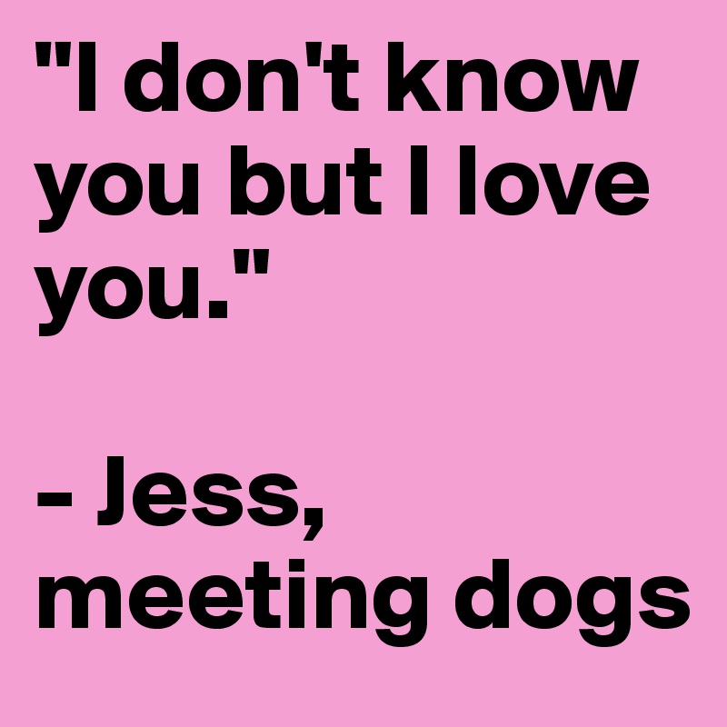 "I don't know you but I love you."

- Jess, meeting dogs
