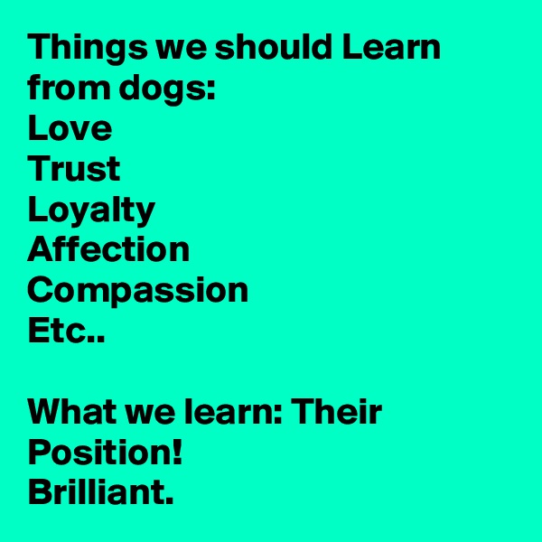 Things we should Learn from dogs:
Love
Trust
Loyalty
Affection
Compassion
Etc..

What we learn: Their Position!
Brilliant.