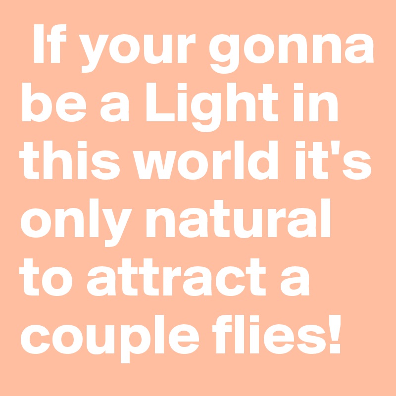  If your gonna be a Light in this world it's only natural to attract a couple flies!
