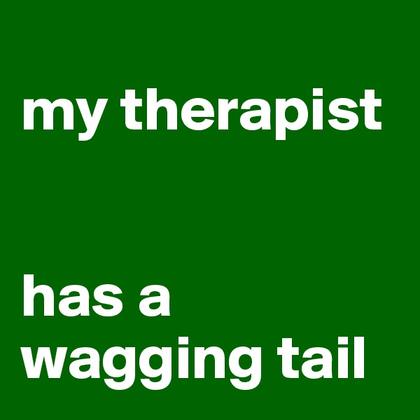 
my therapist


has a wagging tail