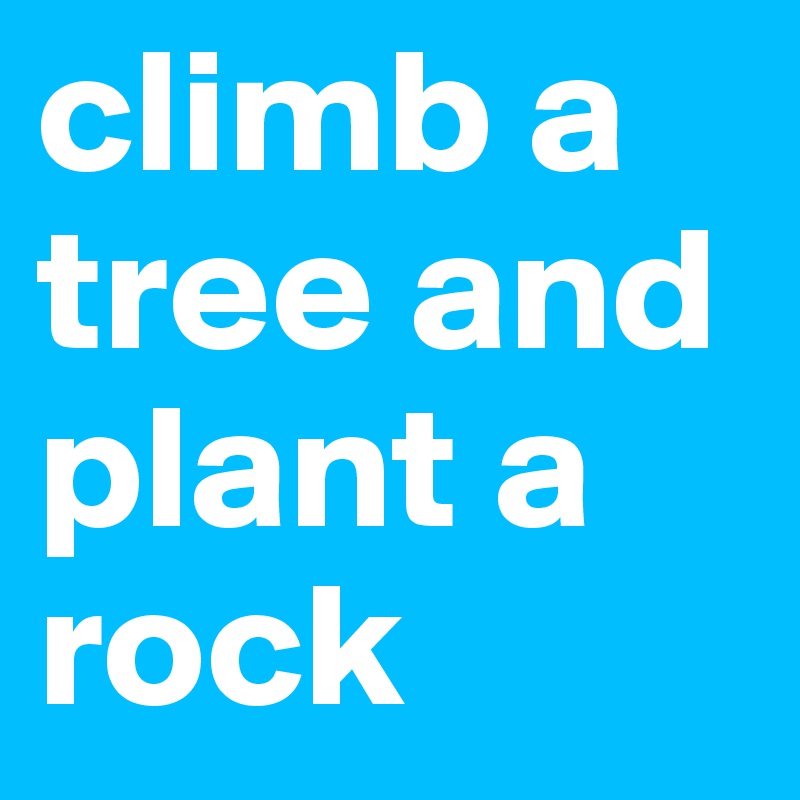 climb a tree and plant a rock
