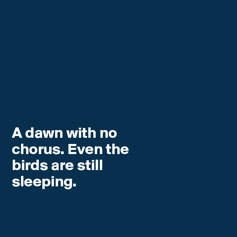 






A dawn with no
chorus. Even the
birds are still 
sleeping.

