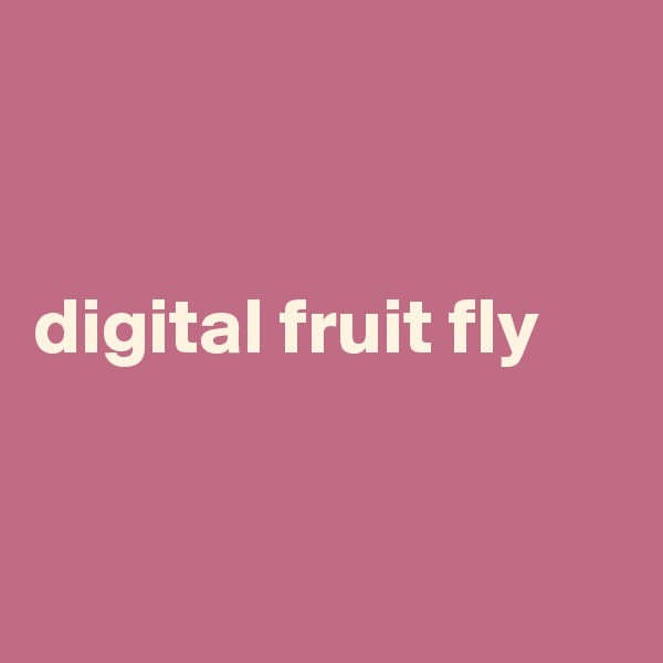 


digital fruit fly


