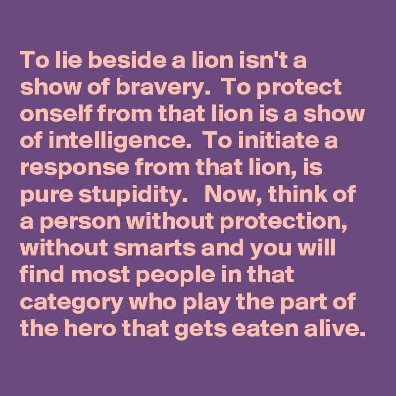 
To lie beside a lion isn't a show of bravery.  To protect onself from that lion is a show of intelligence.  To initiate a response from that lion, is pure stupidity.   Now, think of a person without protection, without smarts and you will find most people in that category who play the part of the hero that gets eaten alive.
