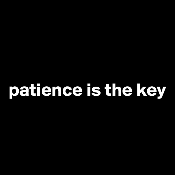 



patience is the key


