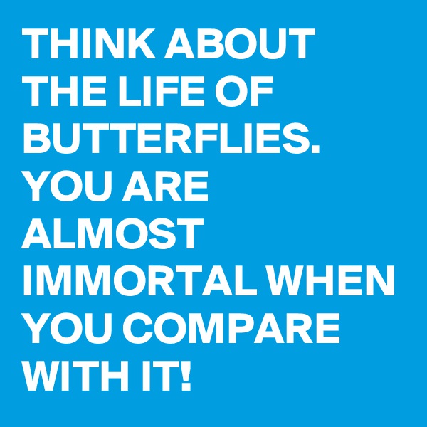 THINK ABOUT THE LIFE OF BUTTERFLIES. YOU ARE ALMOST IMMORTAL WHEN YOU COMPARE WITH IT!