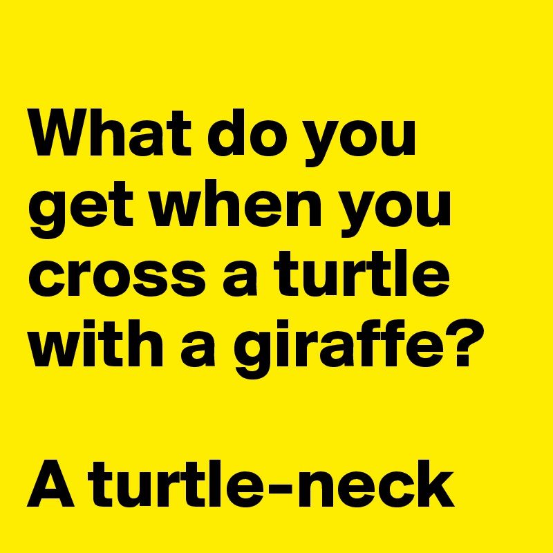 
What do you get when you cross a turtle with a giraffe? 

A turtle-neck