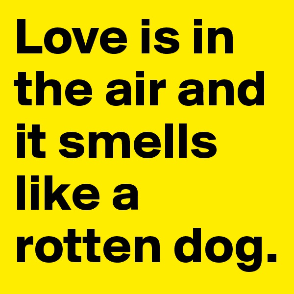 Love is in the air and it smells like a rotten dog.