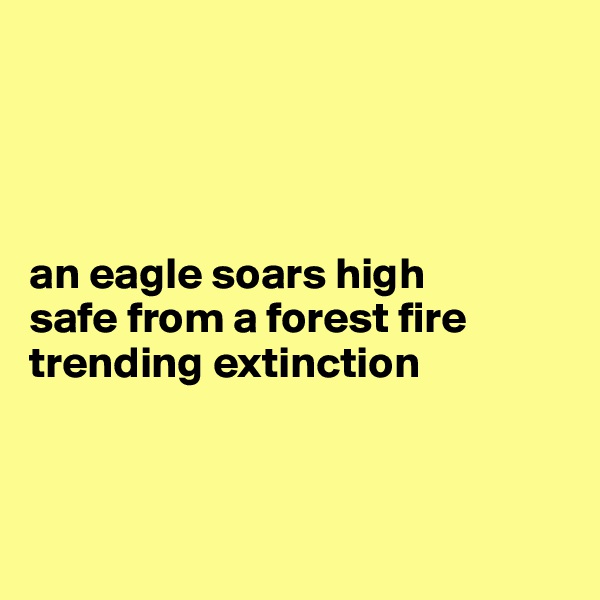 




an eagle soars high
safe from a forest fire
trending extinction 



