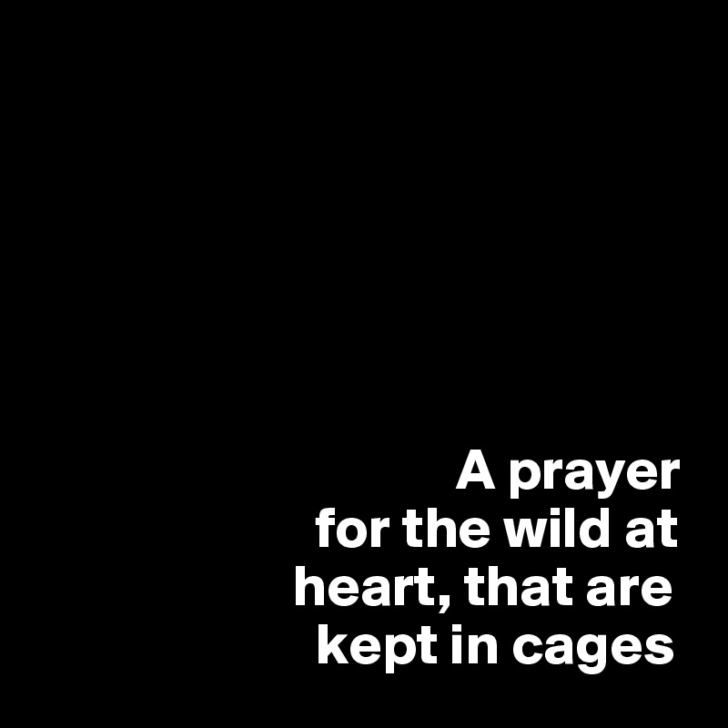 





  
                                    A prayer   
                        for the wild at  
                      heart, that are 
                        kept in cages 